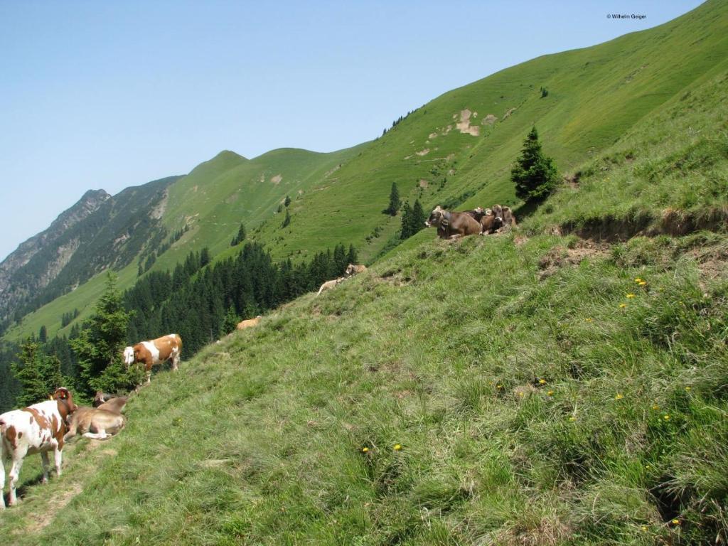 Mountain Hostel Oberstdorf Esterno foto